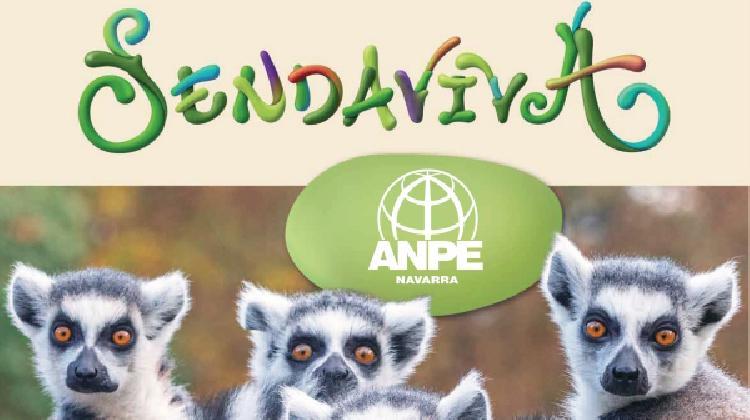 cartel-descuento_anpe_noticia